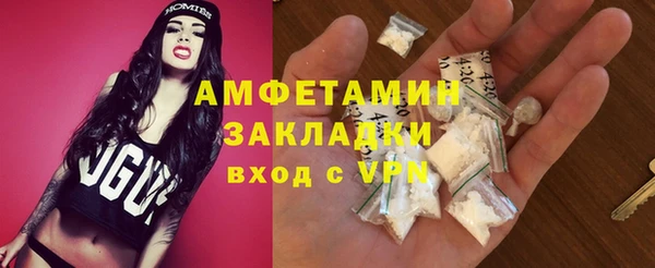 молекула духа Снежногорск