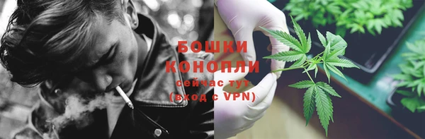 mix Кодинск