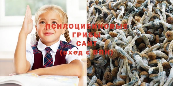 круглые Козельск