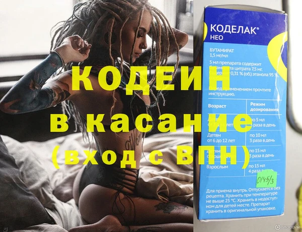 молекула духа Снежногорск