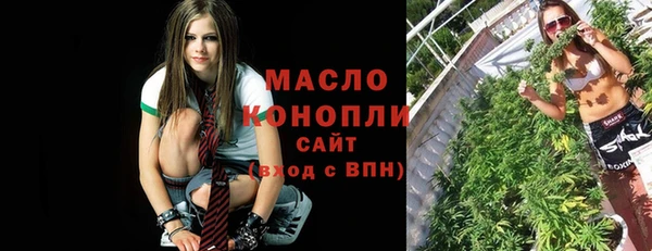 молекула духа Снежногорск