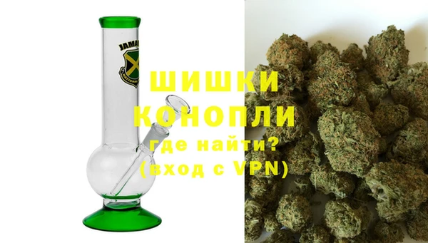 молекула духа Снежногорск