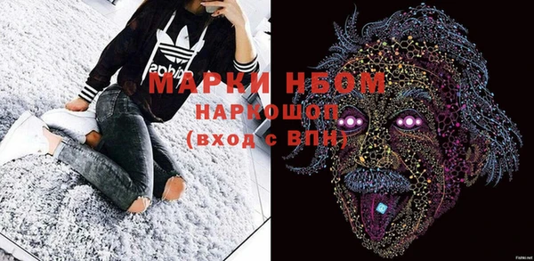индика Сосновый Бор