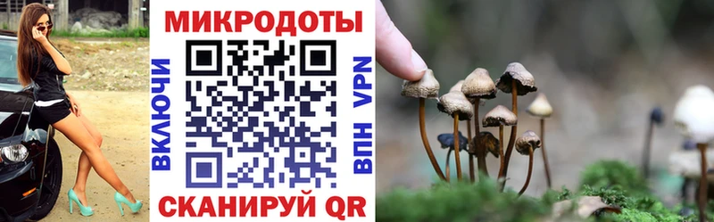 Псилоцибиновые грибы Psilocybine cubensis Снежногорск